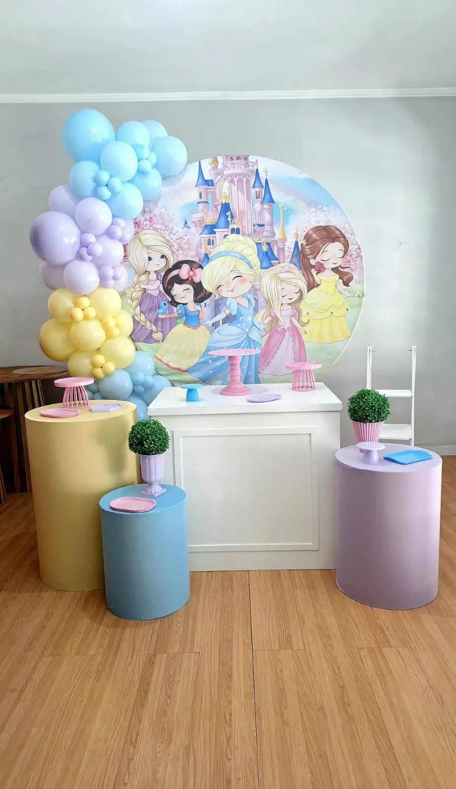 Pegue e Monte Princesas Cute
